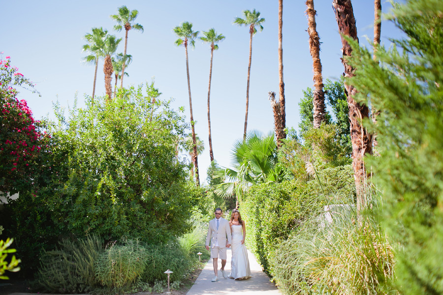 palm trees and bride and groom