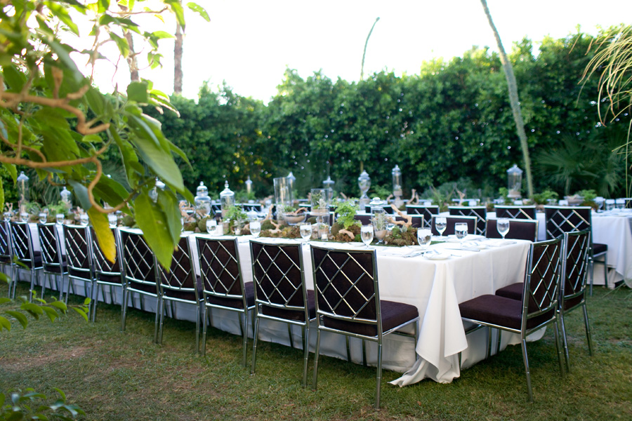 organic wood and greenery table scape