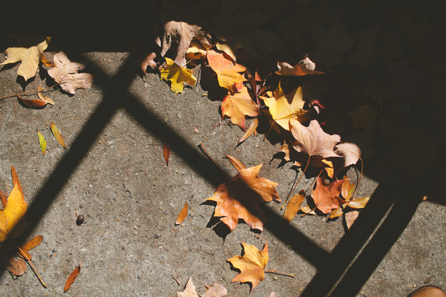 fall alabama wedding