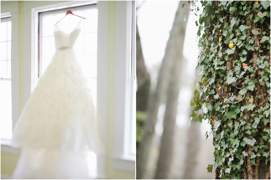 pronovias wedding dress