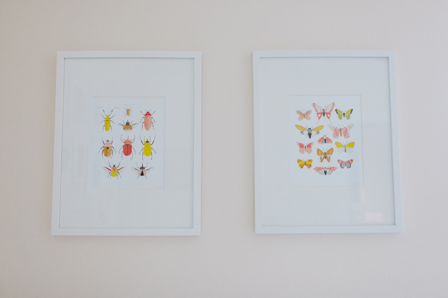 pink and orange insect prints