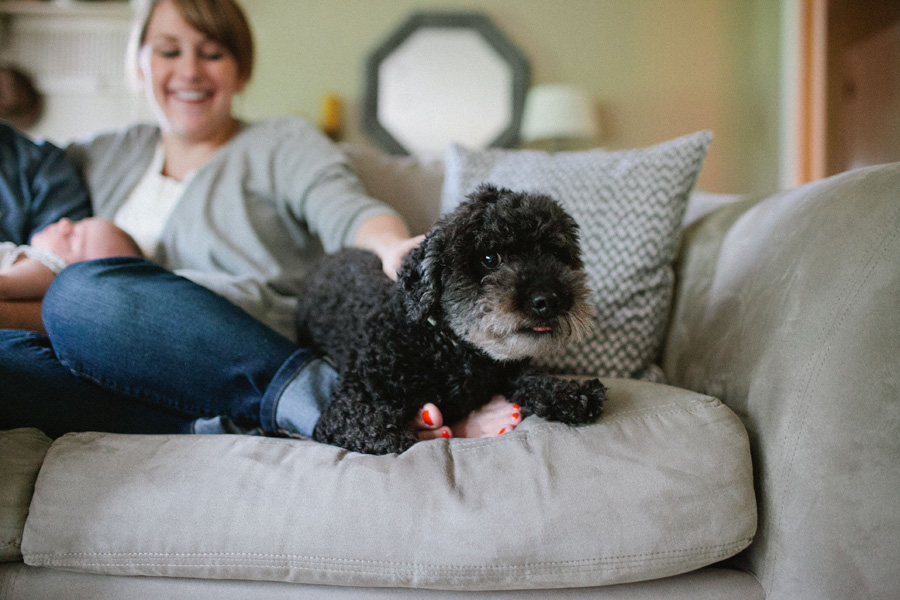 franklin tennessee family session