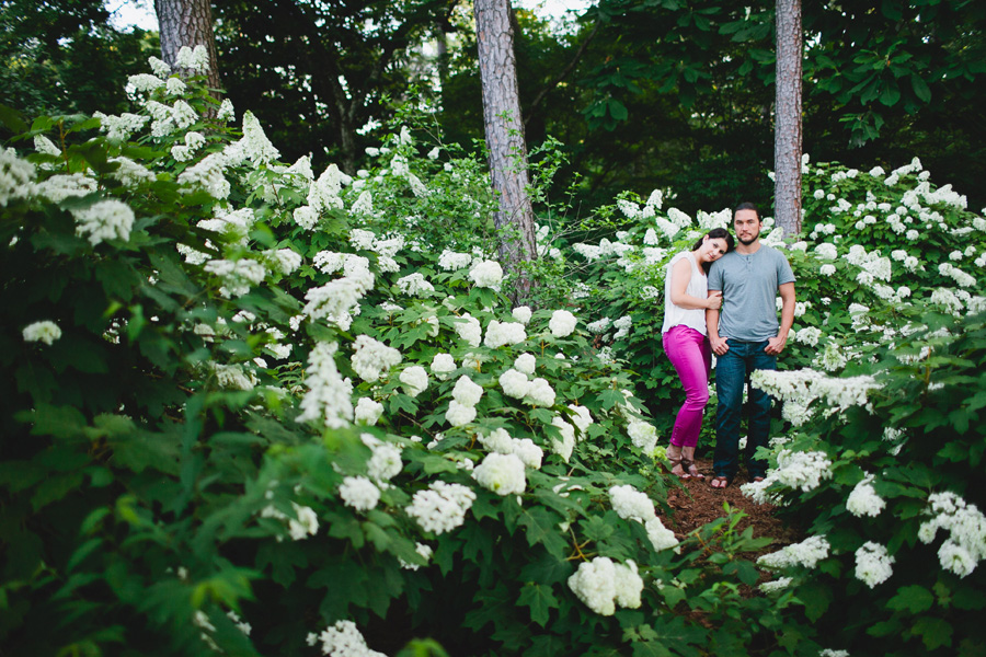 portraits in hydrangeas