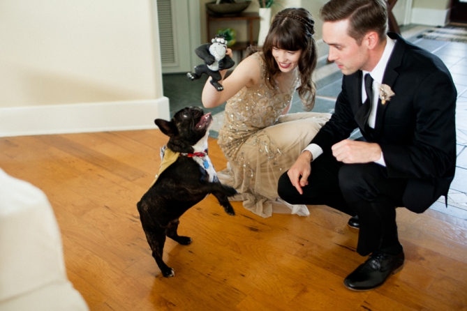dog at wedding