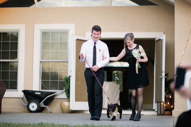 ring bearer dog
