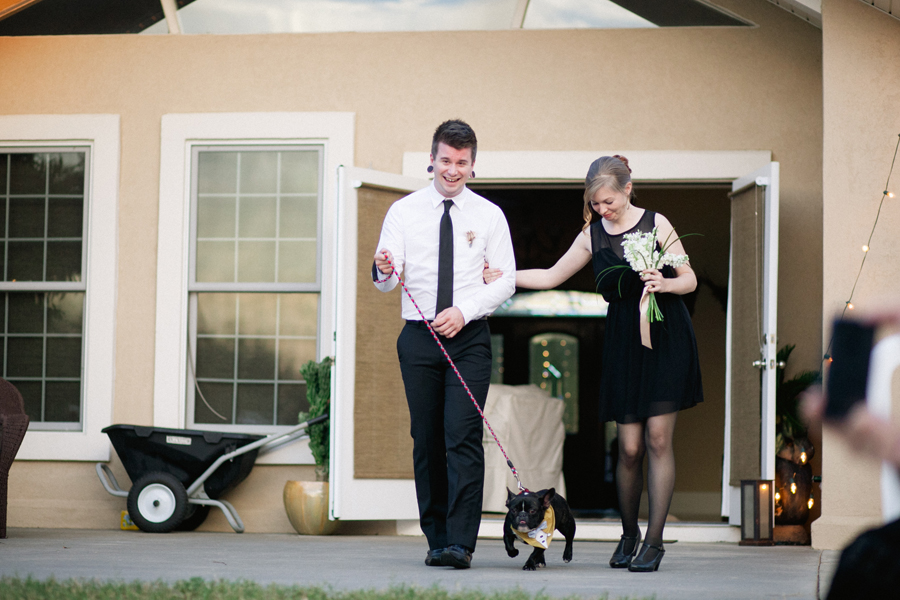 ring bearer dog