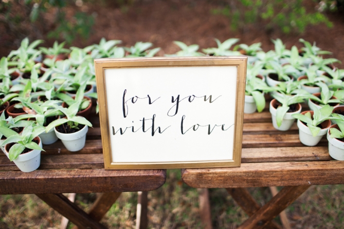 succulent wedding favors