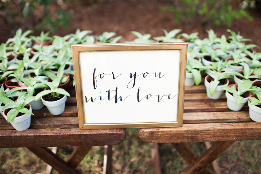 succulent wedding favors