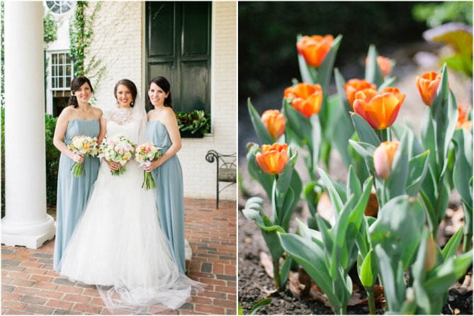 march tulips mississippi